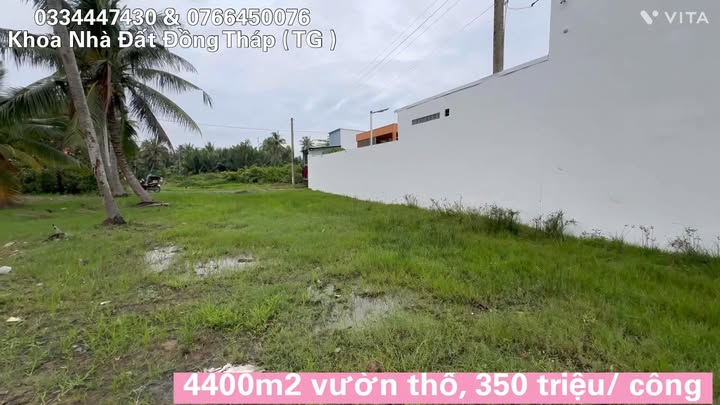 Đất vườn thổ cư Tân Thới 4400m² giá chỉ 1.55 tỷ - Đầu tư sinh lời tuyệt vời!