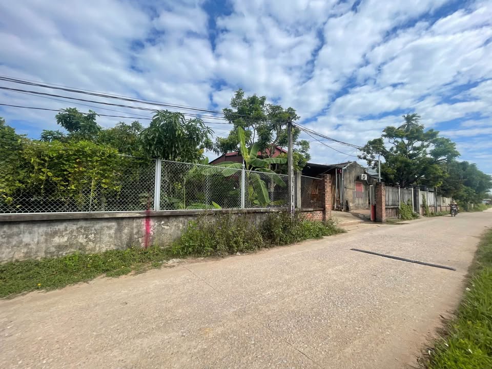 Đất nền Tân Yên 100m² giá 800 triệu - Vị trí kinh doanh đắc địa!