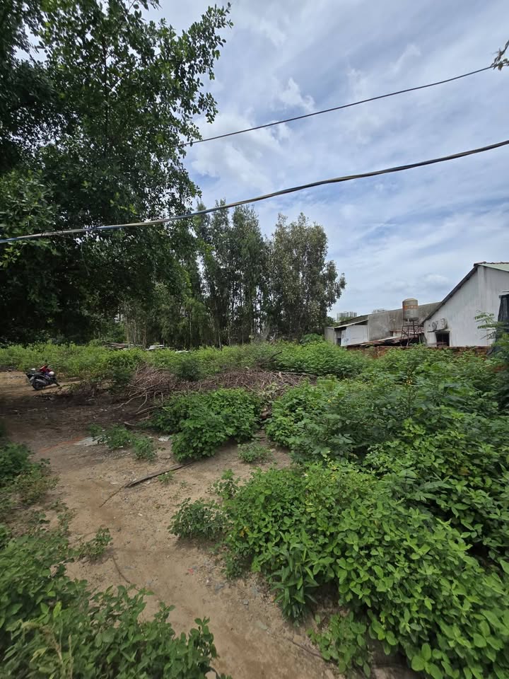 Đất nền Thủ Đức 4.221m² giá 75 tỷ - Cơ hội vàng cho nhà đầu tư!