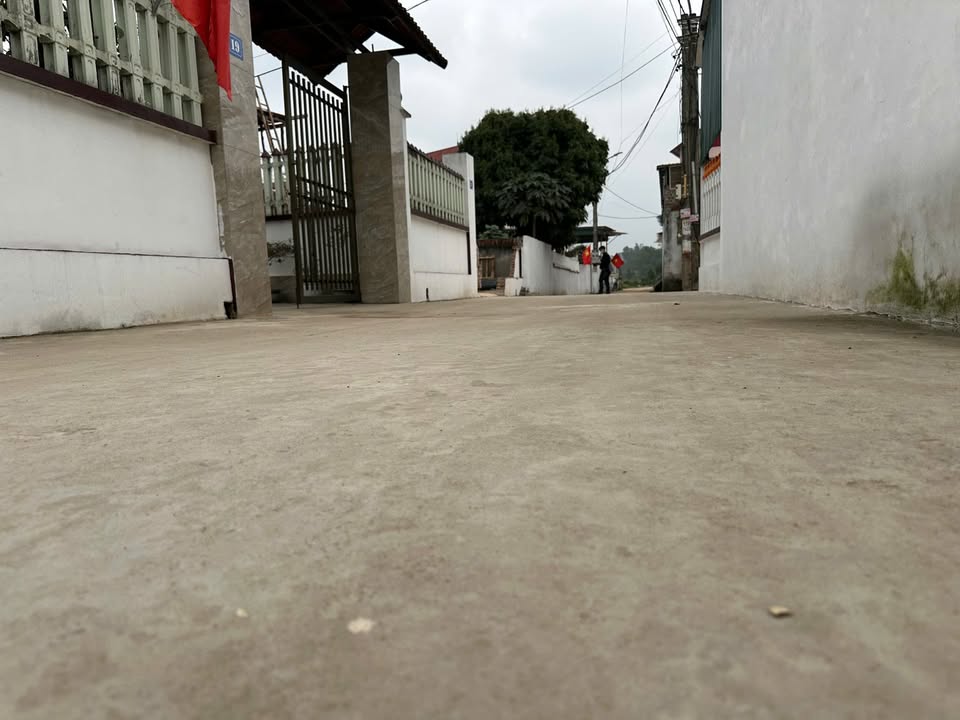 Đất nền Thanh Vân Tam Dương 84m² giá 1.1 tỷ - Đầu tư sinh lời ngay!