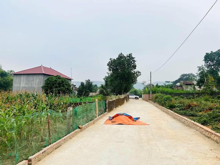 Đất nền Tề Lễ Tam Nông 200m² giá 600 triệu - Cơ hội đầu tư hấp dẫn!