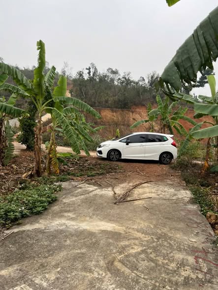 Đất nền thổ cư 60m² tại thôn 9, xã Việt Khê, Thủy Nguyên - Giá chỉ 200 triệu