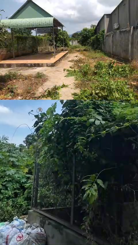 Đất nền 320m² mặt tiền đường 10A Hoà Long - chỉ 1.98 tỷ - Cơ hội đầu tư tuyệt vời!