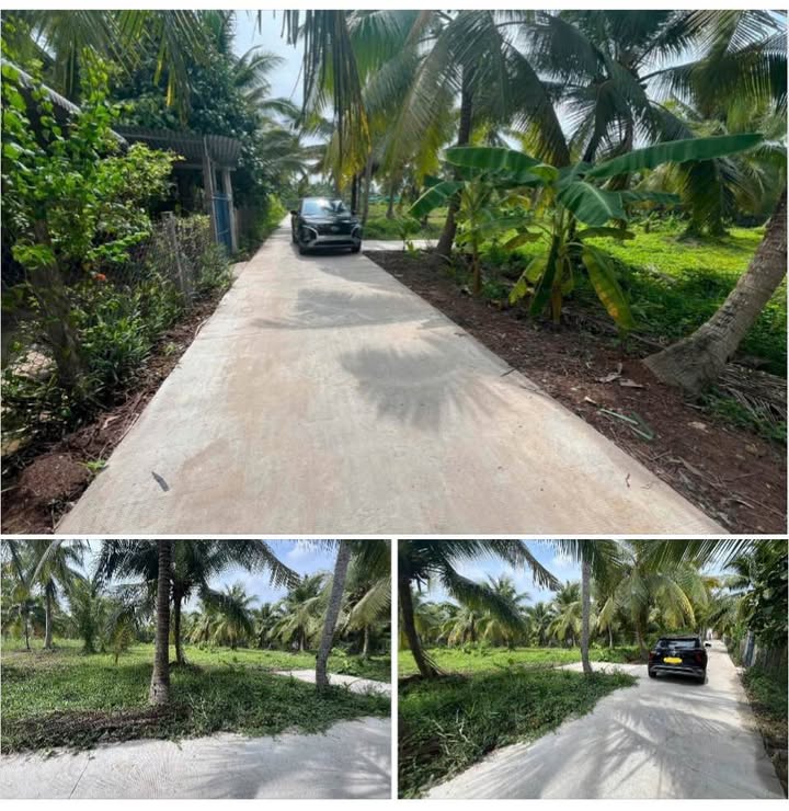 Đất vườn dừa 1500m² giá 1.85 tỷ - Đường xe 16 chỗ thông ra KCN!