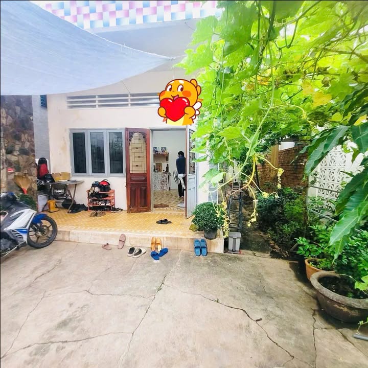 Đất tặng nhà hoàn công tại Nguyễn Hữu Cảnh, Vũng Tàu 196m² - Giá chỉ 5.2 tỷ!