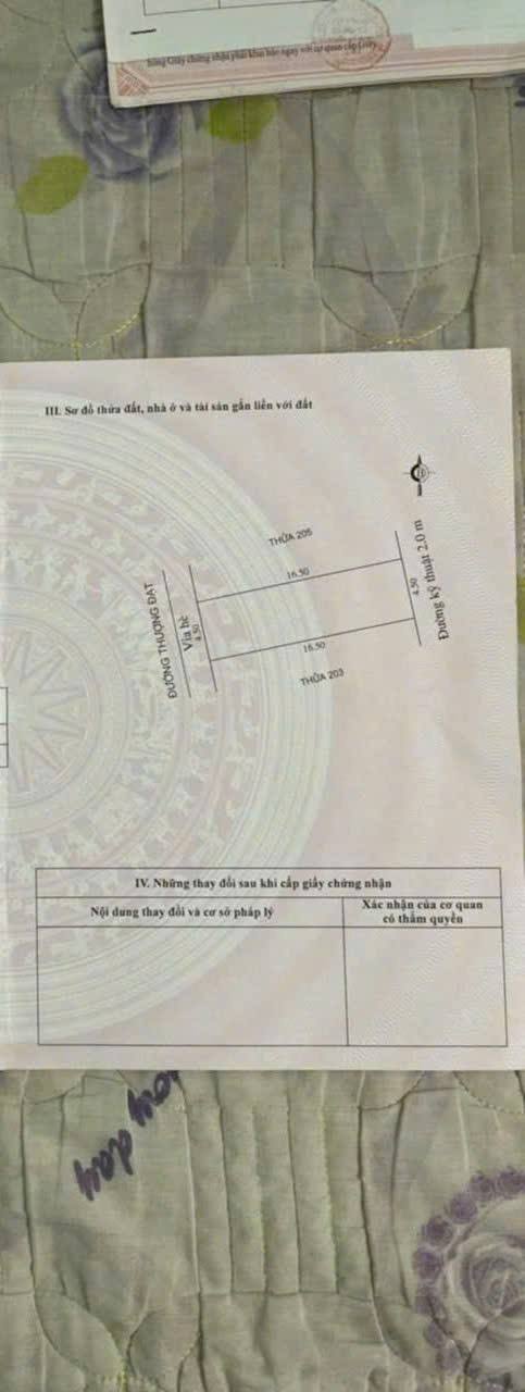 Đất kinh doanh mặt đường Thượng Đạt Hải Dương 74m² giá 5 tỷ - Vị trí đắc địa, sinh lời cao!