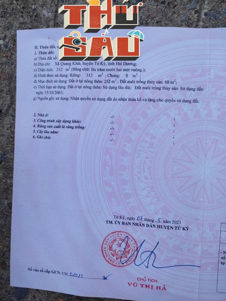 Đất thổ cư 312m² tại Quang Khải, Tứ Kỳ chỉ 1 tỷ - Đường thông ô tô