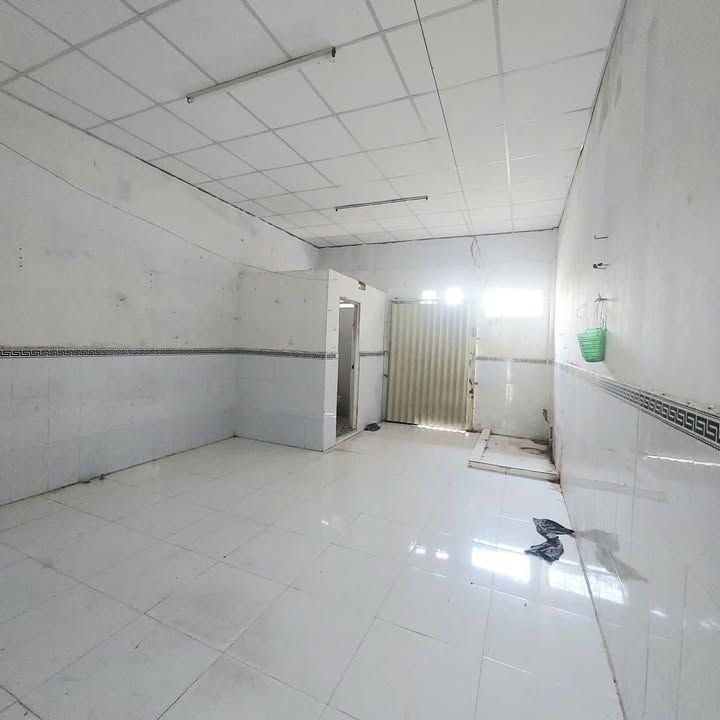 Nhà mặt tiền đường Phú Lợi, Sóc Trăng 120m² giá 10 triệu - Kinh doanh thuận lợi!