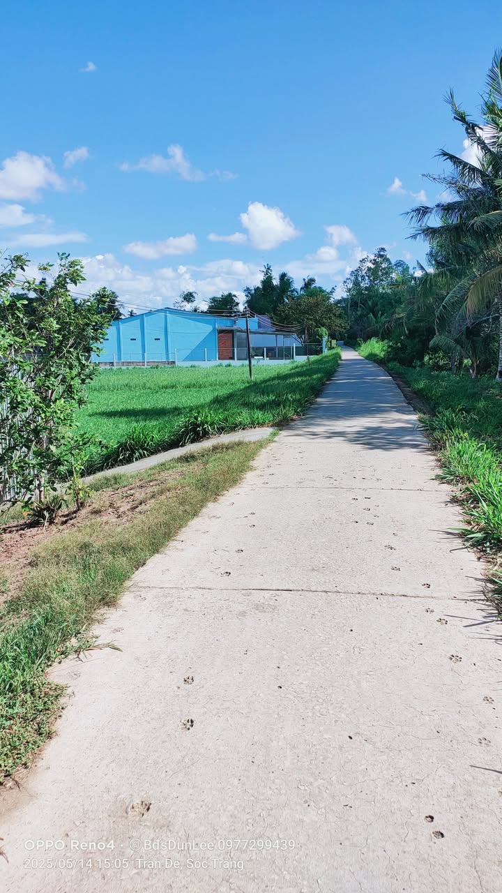 Đất vườn mặt tiền lộ Đal ô tô Tài Văn 1935m² giá 1.075 tỷ - Đầu tư sinh lời ngay!