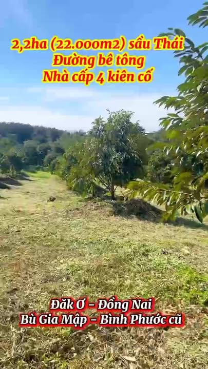 Đất nền đẹp tại Đồng Xoài, Bình Phước 22,000m² - Giá chỉ 5.2 tỷ!