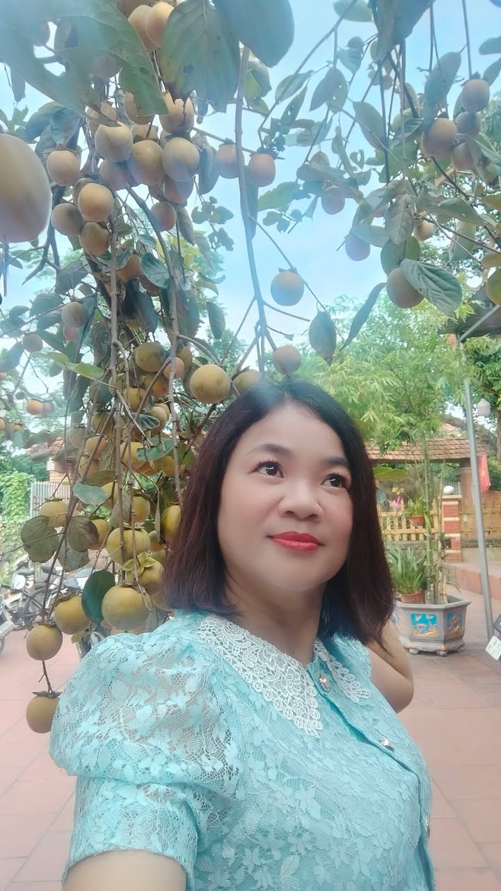 Đất nền Ba Vì 234m² giá chỉ 2 tỷ - Lô đất đầu tư lý tưởng!