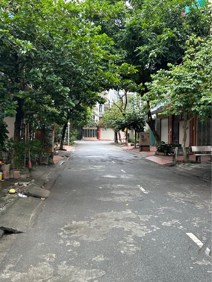 Lô đất TĐC Trần Lãm Thái Bình 60m² giá 4 tỷ - Vị trí đắc địa không thể bỏ lỡ!