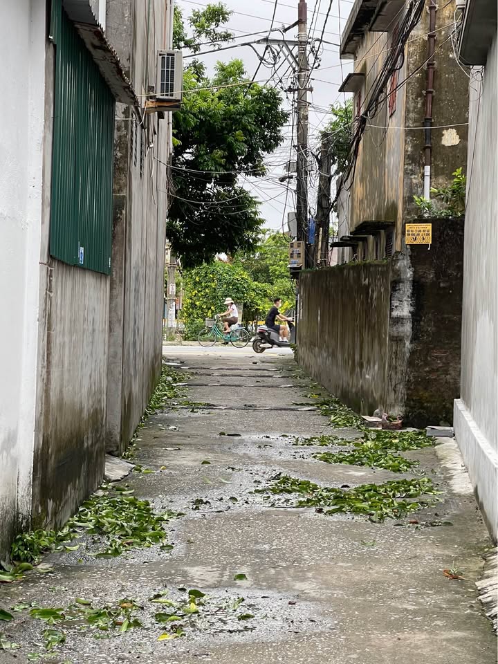 Đất nền thị trấn Vũ Thư 71.8m² giá 1.3 tỷ - Vị trí đắc địa gần đường Nguyễn Trãi!