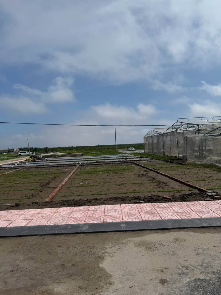 Đất nền Giao Phong, Giao Thủy 90m² giá rẻ - Tiềm năng kinh doanh lớn!