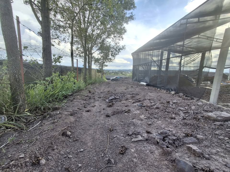 Đất nền N'Thol Hạ, Đức Trọng 2906m² giá chỉ 2.25 tỷ - Cơ hội đầu tư sinh lời!