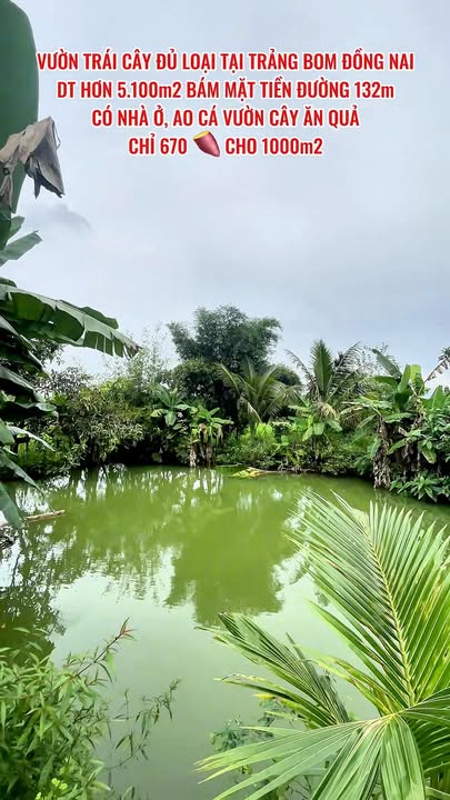 Nhà vườn Trảng Bom Đồng Nai 1000m² giá chỉ 670 triệu - Cơ hội đầu tư hấp dẫn!