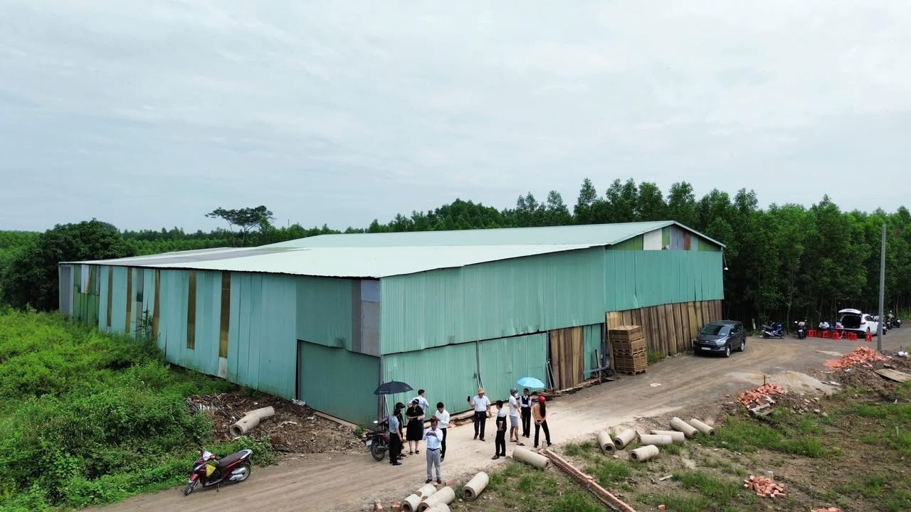 Đất nền Trảng Bom 125m² giá 699 triệu - Đầu tư sinh lời ngay!