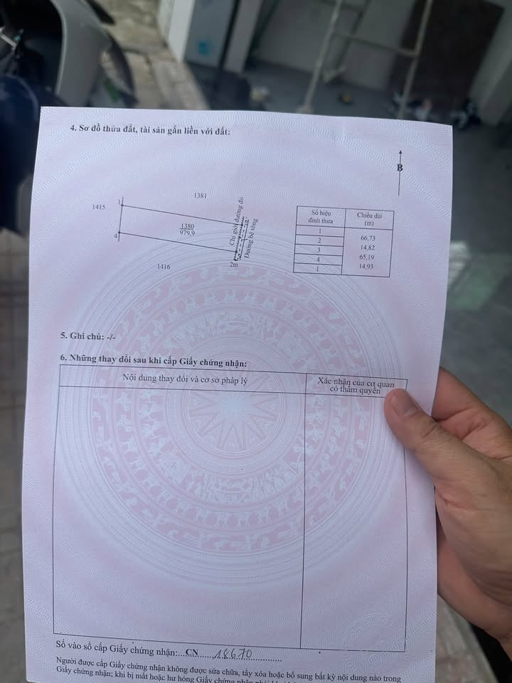 Đất nền 979m² tại Lộc Trung, Cần Giuộc - Sổ đỏ chính chủ, giá chỉ 1.75 tỷ!