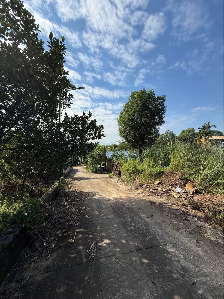 Đất nền Hóa Thượng Đồng Hỷ 503m² giá 1.4 tỷ - Mặt tiền rộng, đường ô tô vào tận nơi!