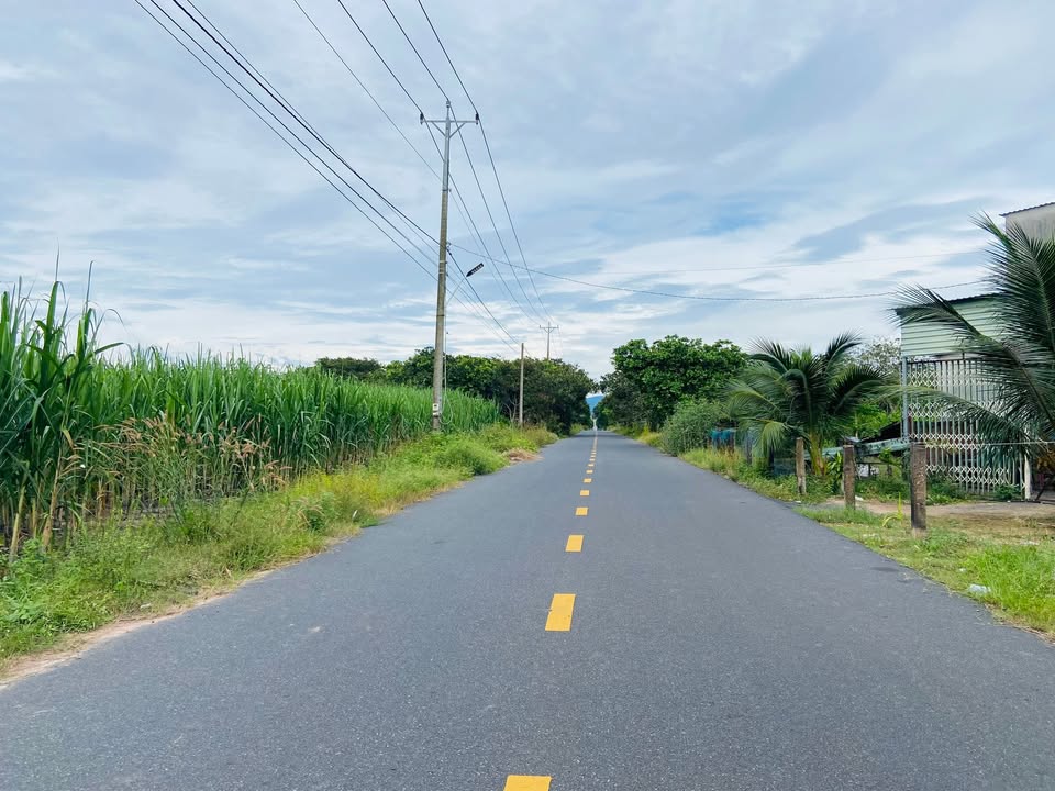 Đất nền Bưng Riềng Xuyên Mộc 3800m² giá 6.5 tỷ - Sổ đỏ chính chủ, đầu tư sinh lời!