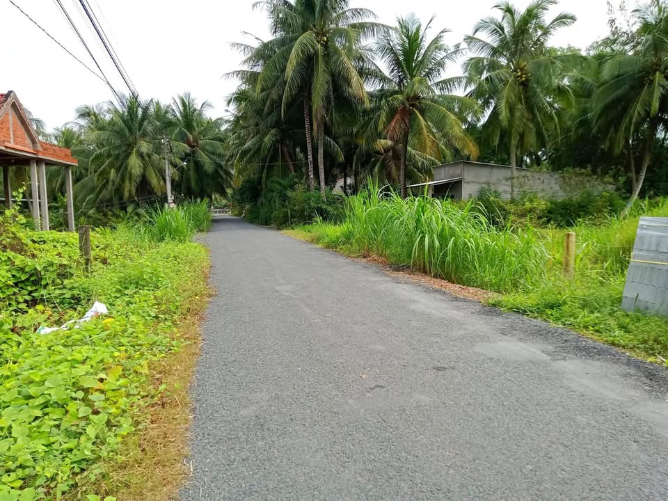 Đất nền 182m² xã Hòa Định, huyện Chợ Gạo - Giá chỉ 480 triệu, hướng Tây!