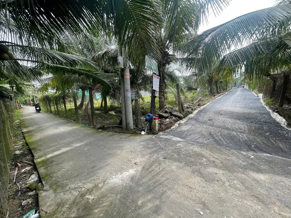 Đất nền Long Hòa A, Mỹ Tho 100m² giá 500 triệu - Đầu tư sinh lời ngay!