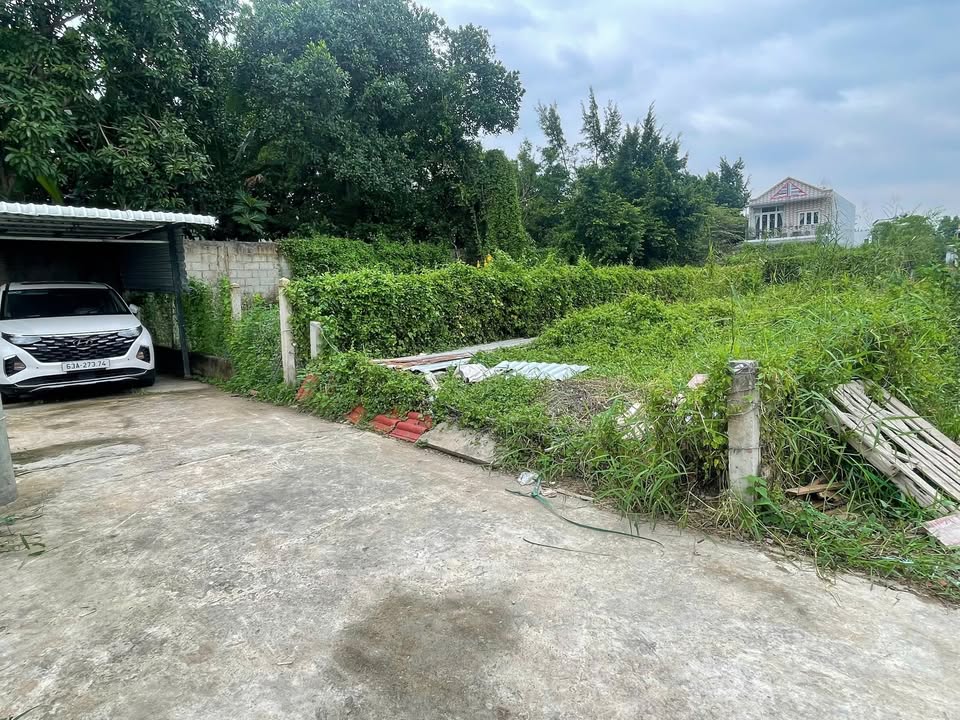 Đất nền Ấp 2 Đạo Thạnh, Mỹ Tho 100m² giá 1.35 tỷ - Hướng Nam, thổ cư 100%!