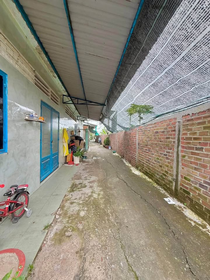 Đất nền Mỹ Lợi Mỹ Phong 100m² giá chỉ 300 triệu - Cơ hội đầu tư hấp dẫn!