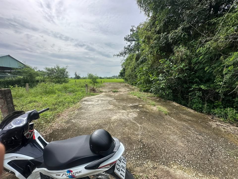 Đất thổ cư 390m² hướng Bắc tại ấp Thạnh Phú, Gò Công Tây - Giá 220 triệu