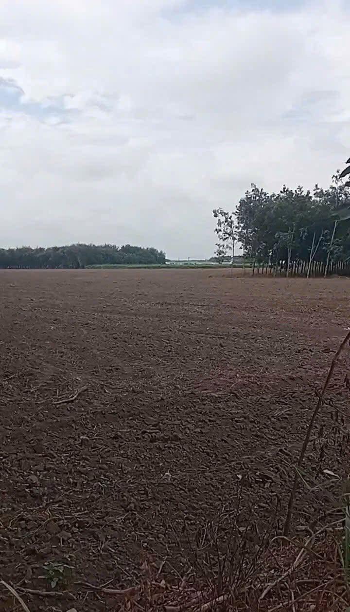 Đất nền Tân Hà, Tân Châu Tây Ninh 4,7 mẫu giá 38.54 tỷ - Đường nhựa ô tô vào tận nơi!