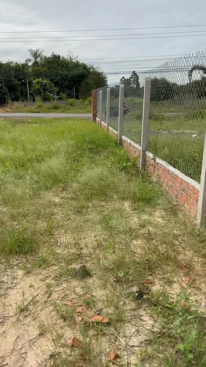 Đất Nền Mặt Tiền Đường 796, Xã Ninh Điền, Huyện Châu Thành, Tây Ninh - Giá Chỉ 690 Triệu!