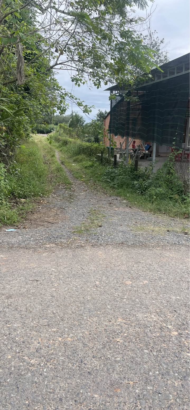 Đất mặt tiền xã Lộc Ninh, Dương Minh Châu 230m² giá 450 triệu - Đầu tư sinh lời ngay!