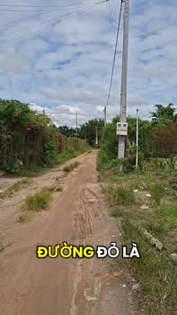 Bán Đất 570m² tại Ấp Tân Tây, Xã Tân Phú - Giá 646 triệu, Vị trí đắc địa!