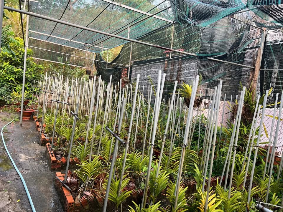 Đất thổ cư 908m² mặt tiền đường Thanh Hòa - Tây Ninh - Giá chỉ 2.8 tỷ!