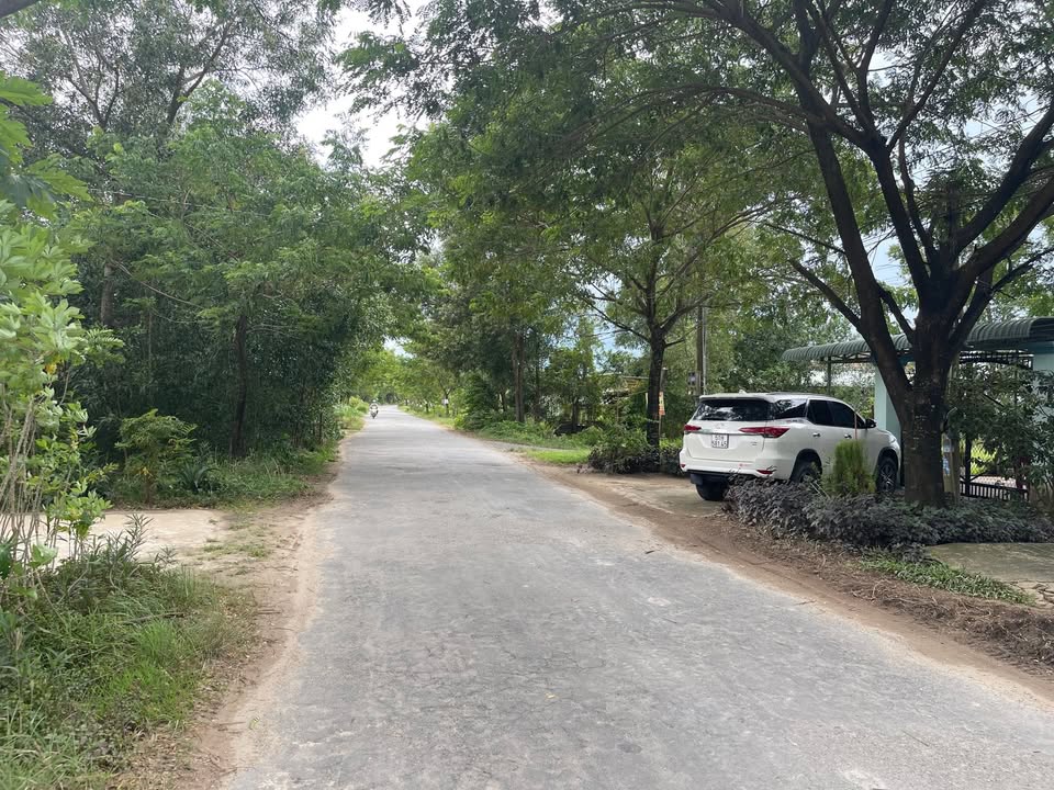 Đất mặt tiền đường Cây Me, Gò Dầu, Tây Ninh 205m² - Cơ hội đầu tư hấp dẫn!