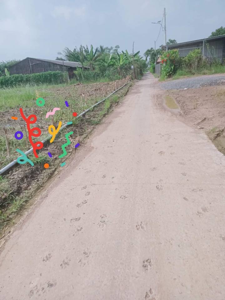 Đất nền Tân Hòa, Gò Công Đông 360m² giá 660 triệu - Cơ hội đầu tư hấp dẫn!