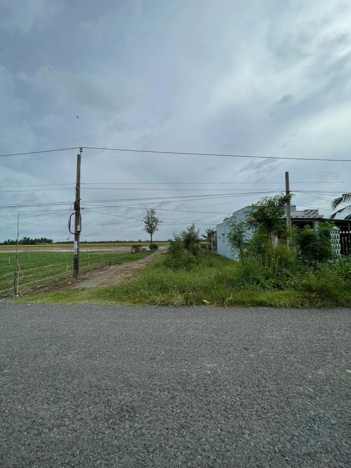 Đất thổ cư 264m² tại Ấp Trung, Tân Điền, Gò Công Đông - Giá chỉ 800 triệu!