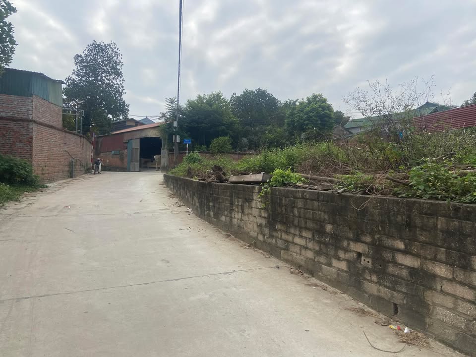 Đất nền Hạ Bằng Thạch Thất 112m² - Lô góc đẹp, giá thỏa thuận!