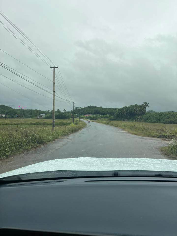 Farm Vân Hội, Trấn Yên, Yên Bái, 10.000m² giá 1.1 tỷ - Đường ô tô vào tận nơi!