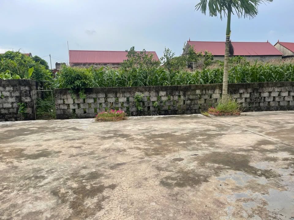 Đất thổ cư Nghĩa Thành 136.8m² giá chỉ 600 triệu - Đầu tư sinh lời ngay!