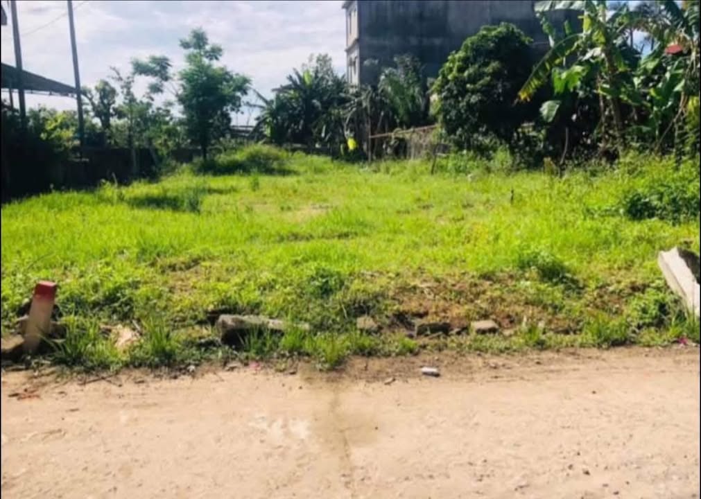 Đất nền 150m² Kiệt Nguyễn Thiện Thuật, Đông Hà, Quảng Trị - Giá chỉ 800 triệu, cơ hội đầu tư hấp dẫn!
