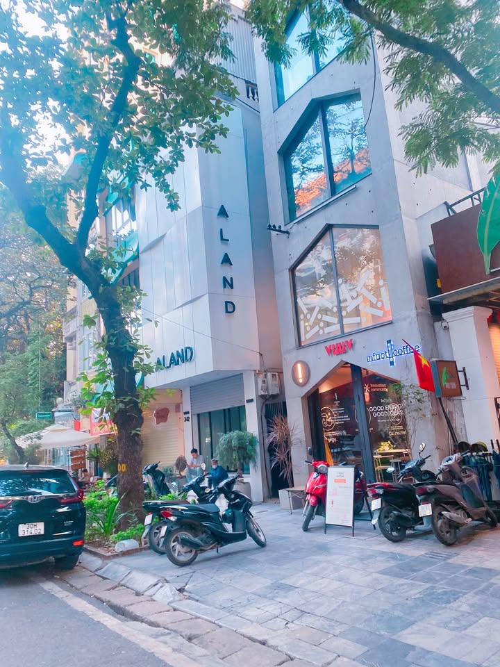 Mặt phố Bà Triệu 80m² giá 80 tỷ - Lô góc siêu hiếm, dòng tiền ổn định!