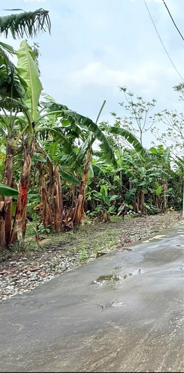 Đất nền Trần Phú, Hà Tĩnh 149m² giá chỉ 16xx - Cơ hội đầu tư tiềm năng!