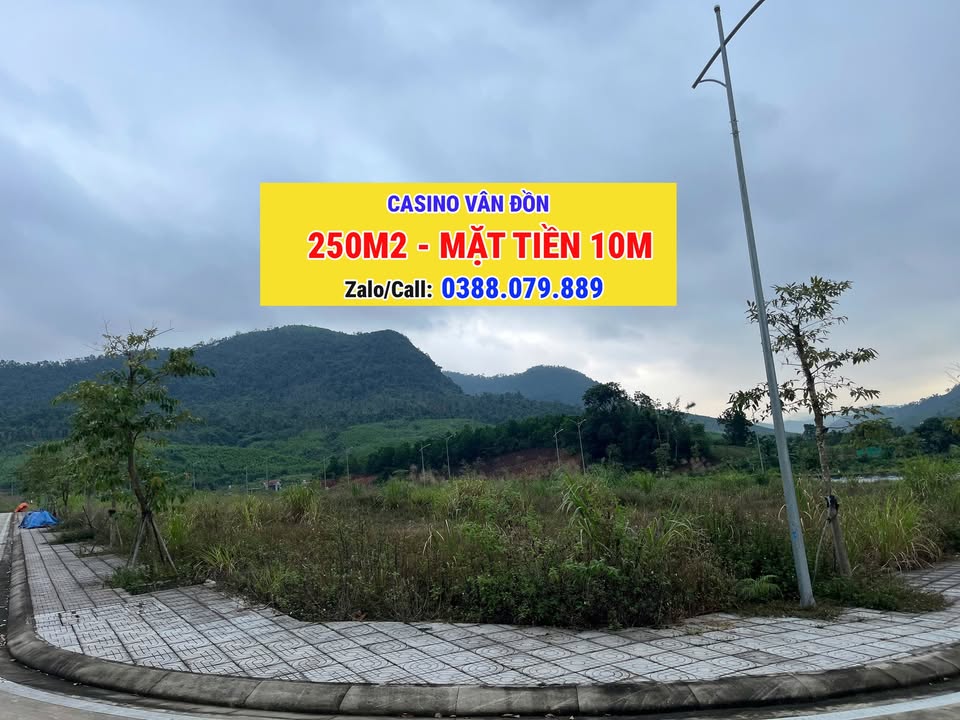 Đất nền Casino Vân Đồn 250m² giá thỏa thuận - Hướng Đông phong thủy!