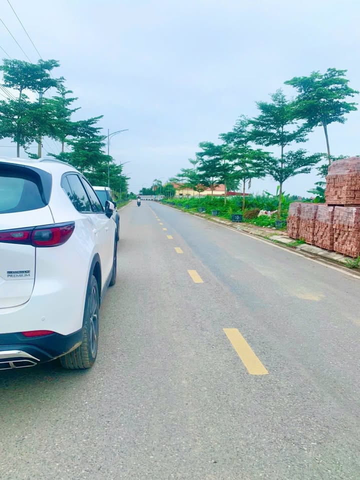 Đất nền chính chủ Đoàn Lập, Tiên Lãng 116m² giá 1.1 tỷ - Kinh doanh tuyệt vời!