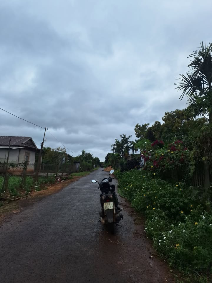 Lô đất mặt tiền đường nhựa Phú Xuân 225m² giá 10 triệu - Chính chủ bán gấp!