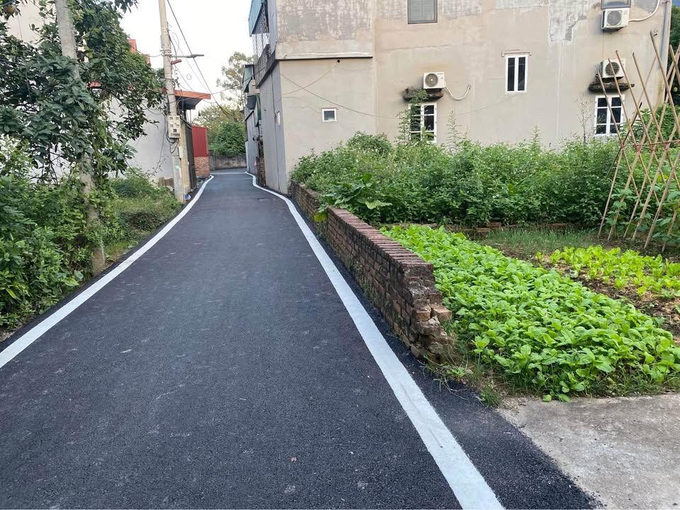 Đất thổ cư Thanh Lâm, Mê Linh 55m² giá thỏa thuận - Đường xe 16 chỗ vào tận nơi!