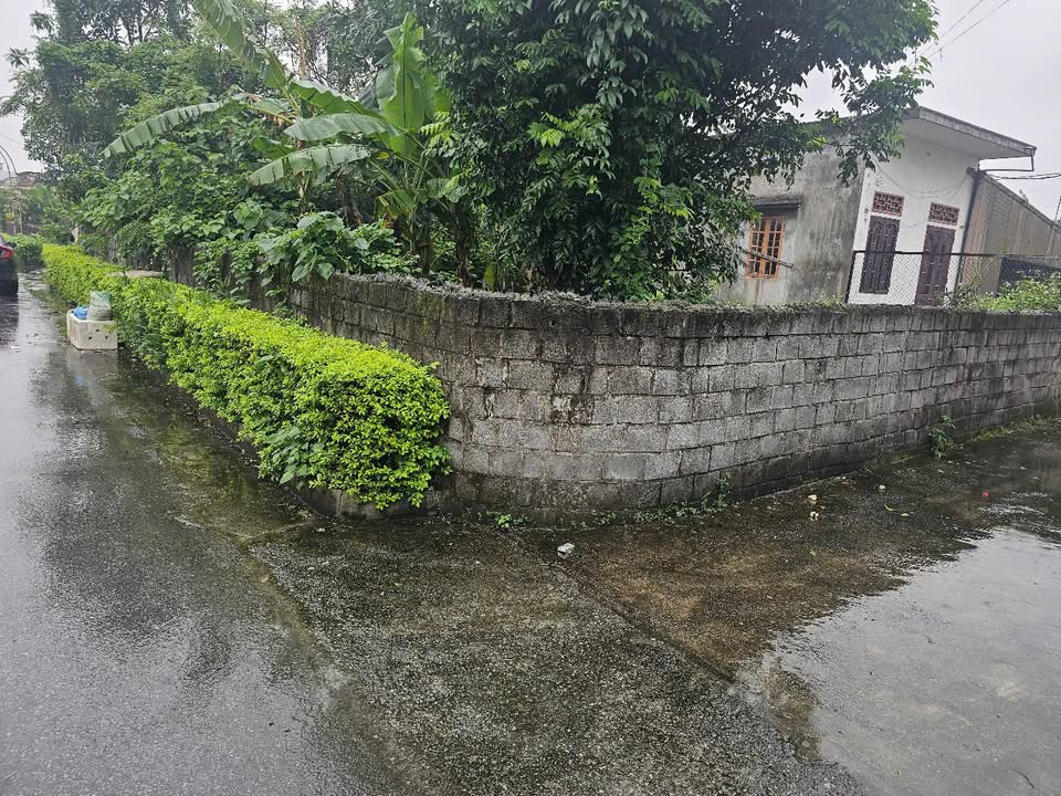 Đất lô góc 120m² tại xã Ái Quốc, Tiền Hải, Thái Bình - Cơ hội đầu tư hiếm có!