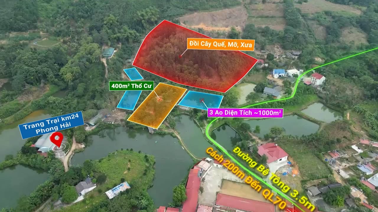 Trang Trại Đẹp Phong Hải 1Ha giá 1.98 tỷ - Gần Trường Cấp 2,3