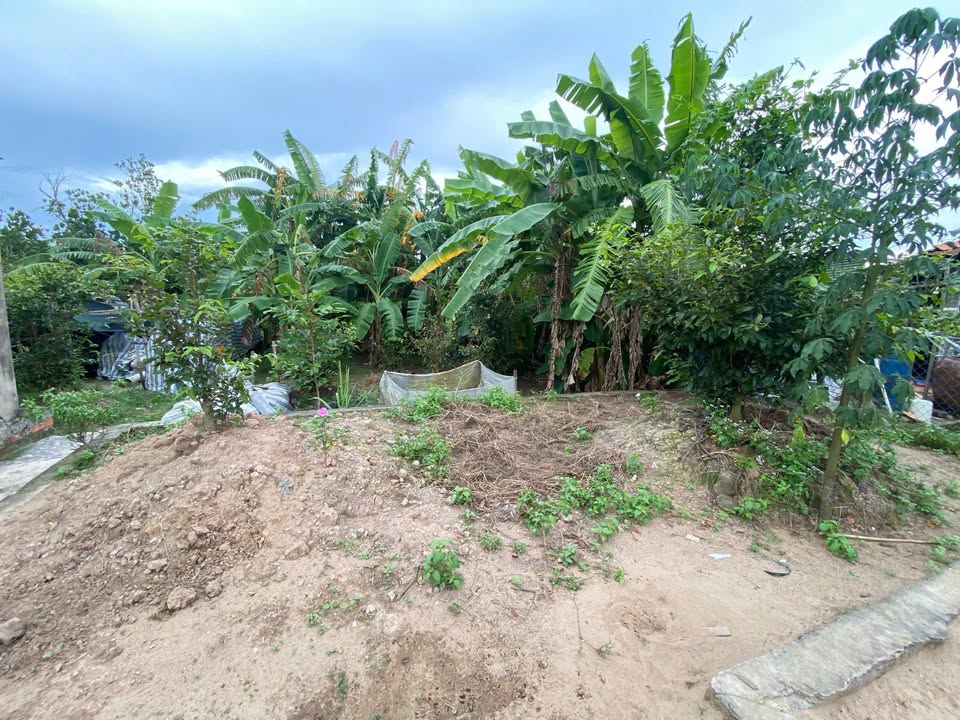 Đất nền xã Mỹ Thọ, huyện Cao Lãnh, Đồng Tháp 392m² giá 800 triệu - Sổ hồng riêng chính chủ!